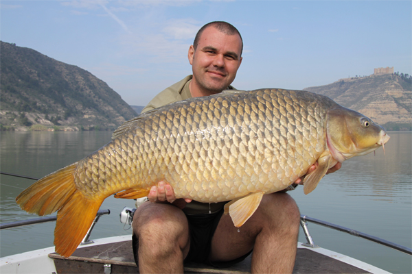 How to make carp fishing flavours? Recipes for preparing aromas with your  own hands
