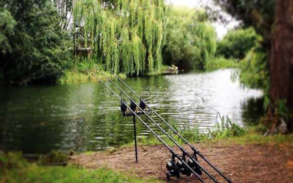 How to set up carp fishing tackle? Racks for fishing rods, bite detectors